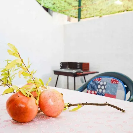 In - Istrien 11064 * Pula